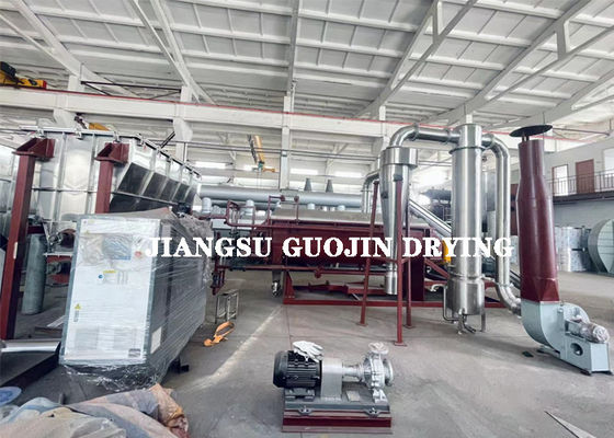 किसी भी सुखाने की क्षमता के लिए 10KW वैक्यूम पैडल ड्रायर