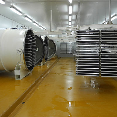Multifunctional Automatic 500kg फ्रीज सुखाने की मशीन