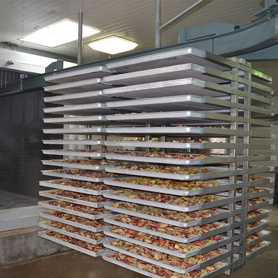 Multifunctional Automatic 500kg फ्रीज सुखाने की मशीन