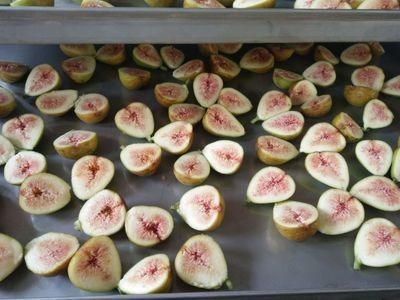 वैक्यूम स्टेनलेस स्टील औद्योगिक फ्रीज सूखे फल मशीन